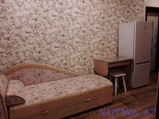 1-room apartment Almaty - photo 3