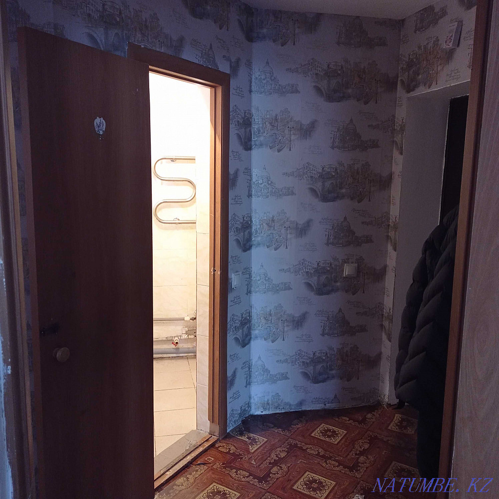  Алматы - изображение 6