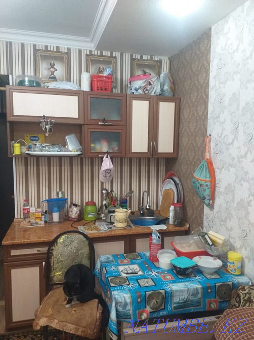 1-room apartment Almaty - photo 1