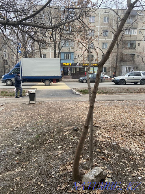 2-room apartment Almaty - photo 3