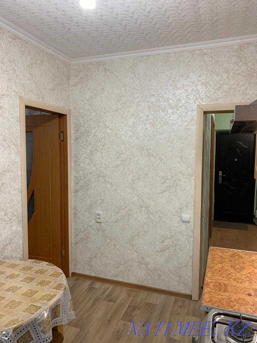 2-room apartment Almaty - photo 12