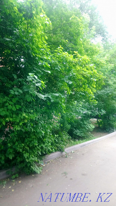 2-комнатная квартира Алматы - изображение 15