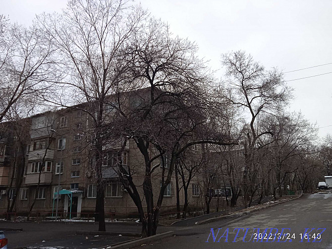 2-room apartment Almaty - photo 17