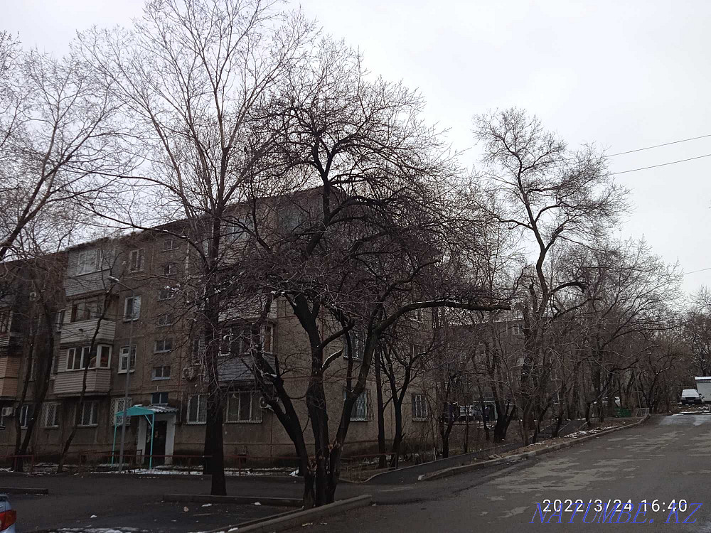 2 бөлмелі пәтер  Алматы - изображение 17