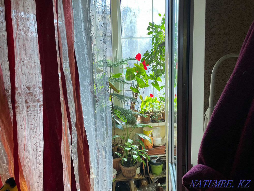 2-комнатная квартира Алматы - изображение 2