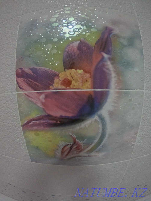 2-room apartment Almaty - photo 7