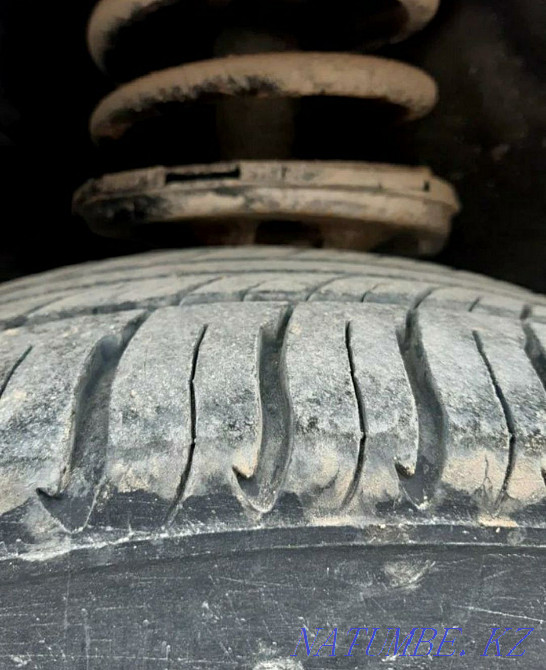    year Almaty - photo 4