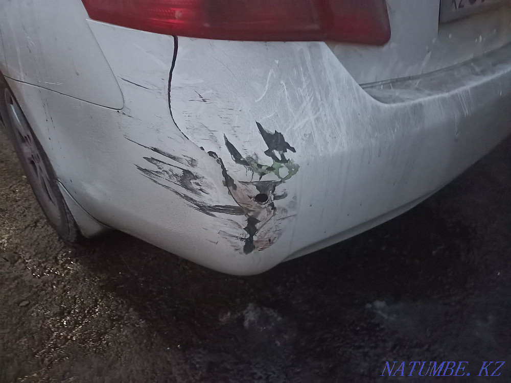    year Almaty - photo 9