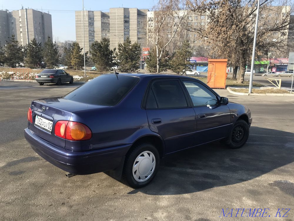    year Almaty - photo 3