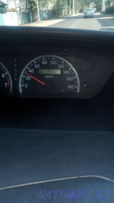    year Almaty - photo 5