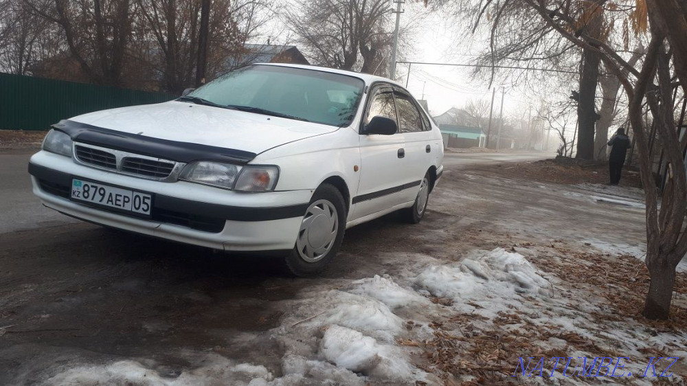    year Almaty - photo 2