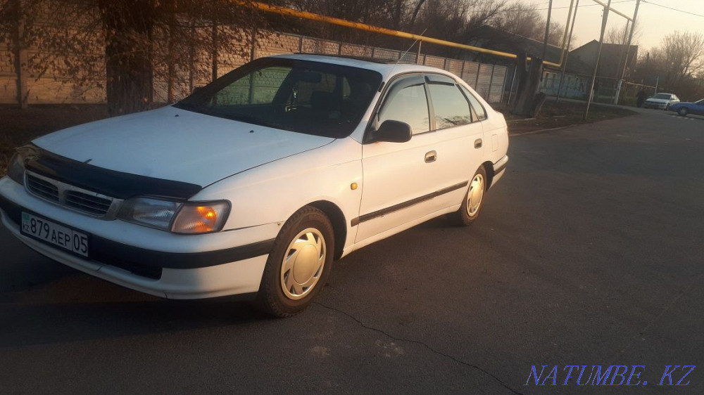    year Almaty - photo 7