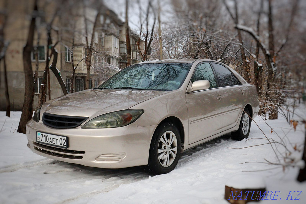    года Алматы - изображение 3