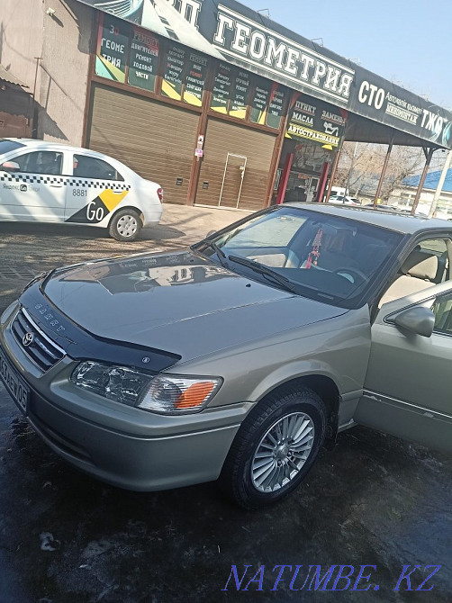    year Almaty - photo 2