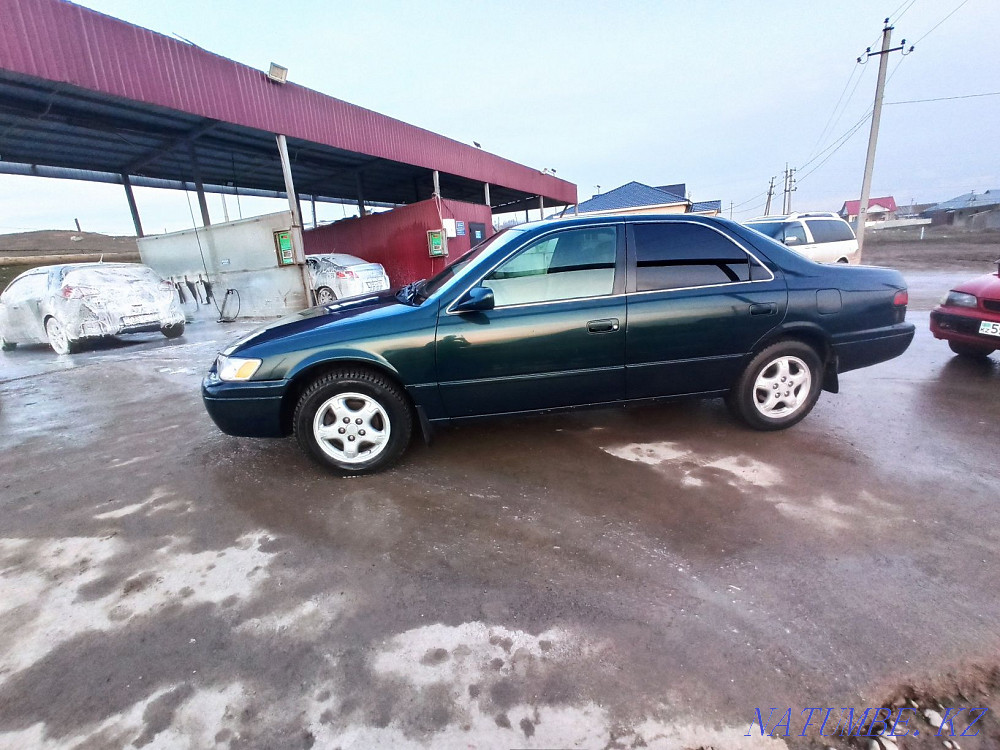    year Almaty - photo 4