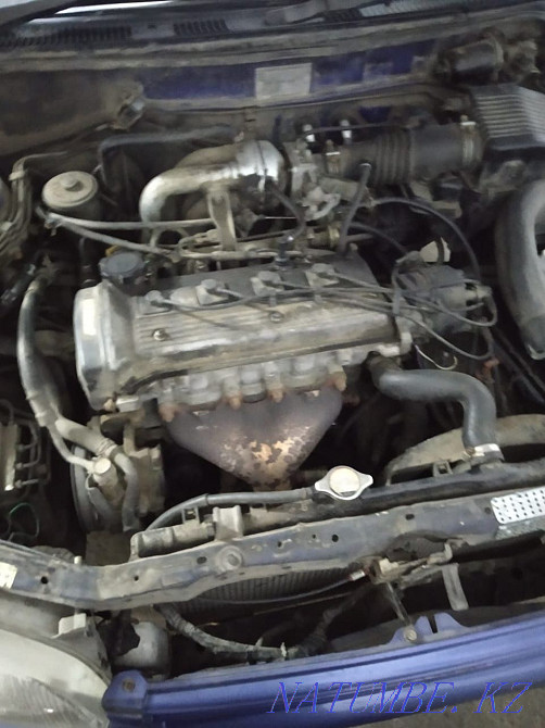    year Almaty - photo 5