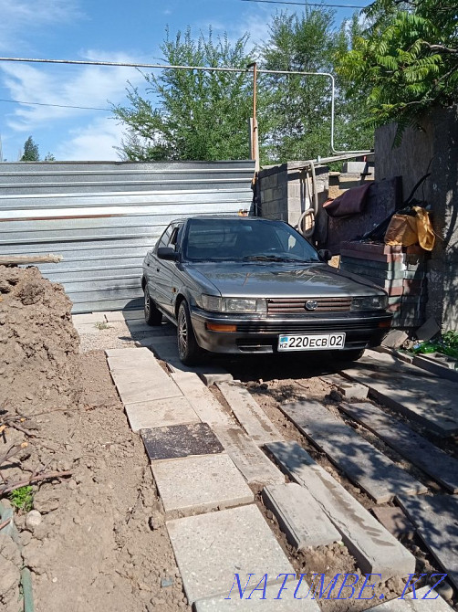    year Almaty - photo 7