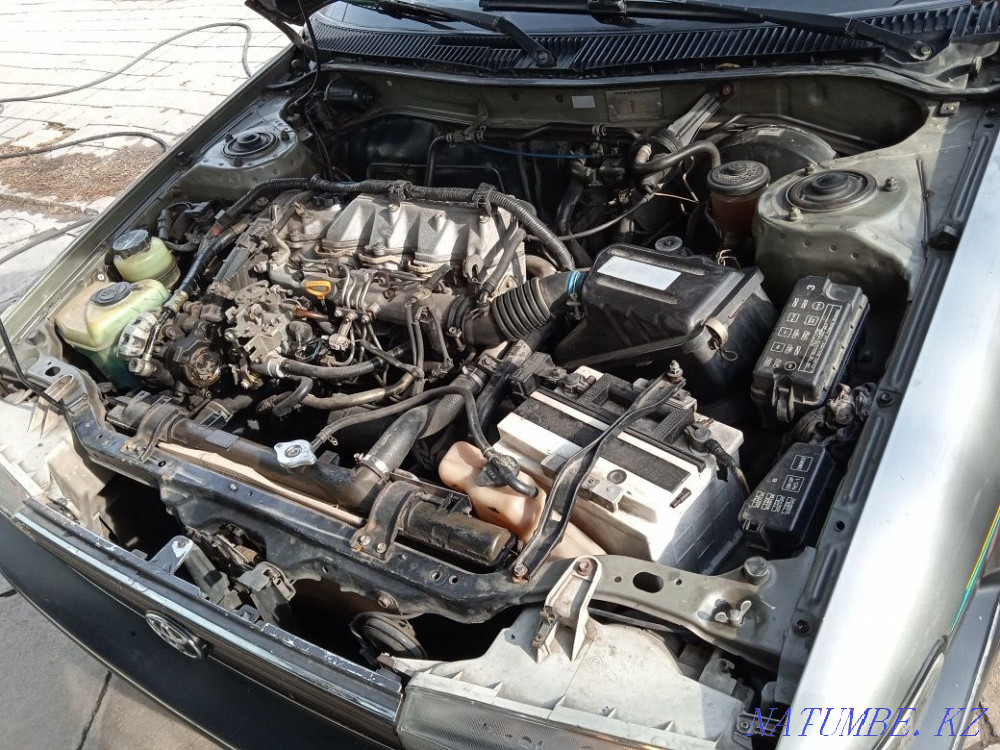    year Almaty - photo 8