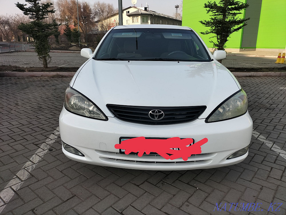    year Almaty - photo 4