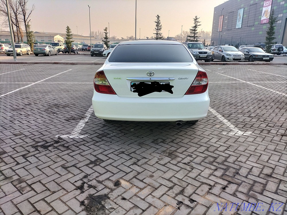    year Almaty - photo 3