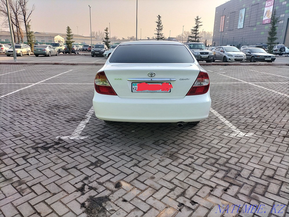    year Almaty - photo 2