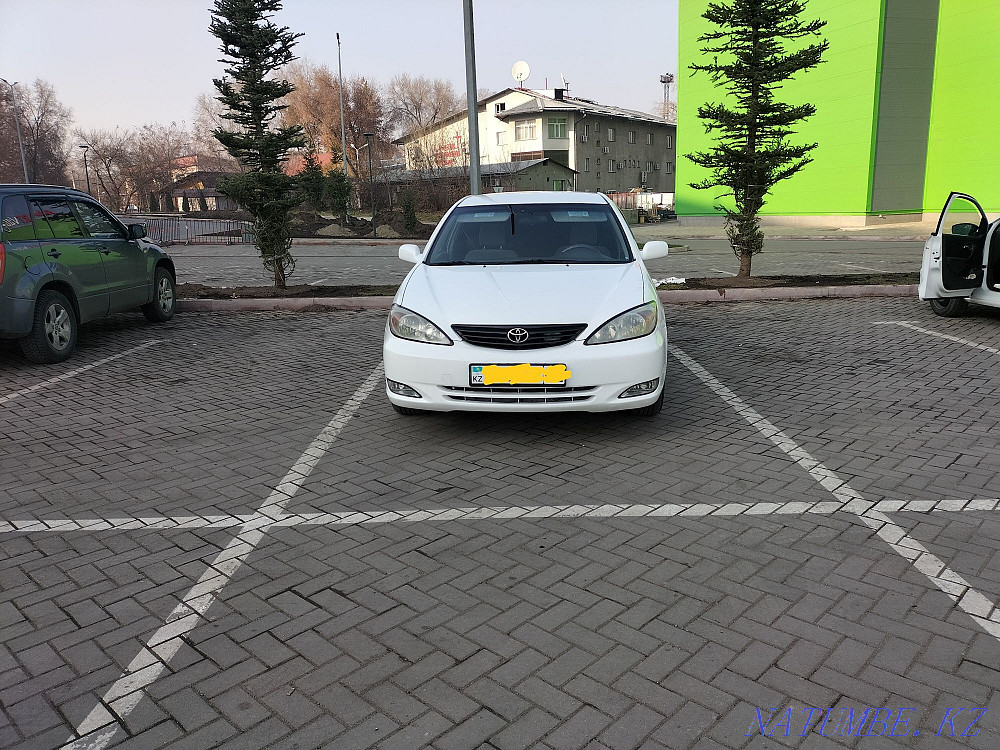    year Almaty - photo 1