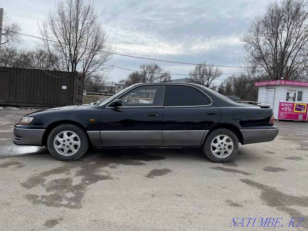    year Almaty - photo 8