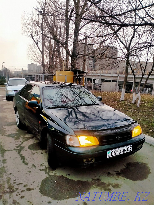    жыл  Алматы - изображение 3