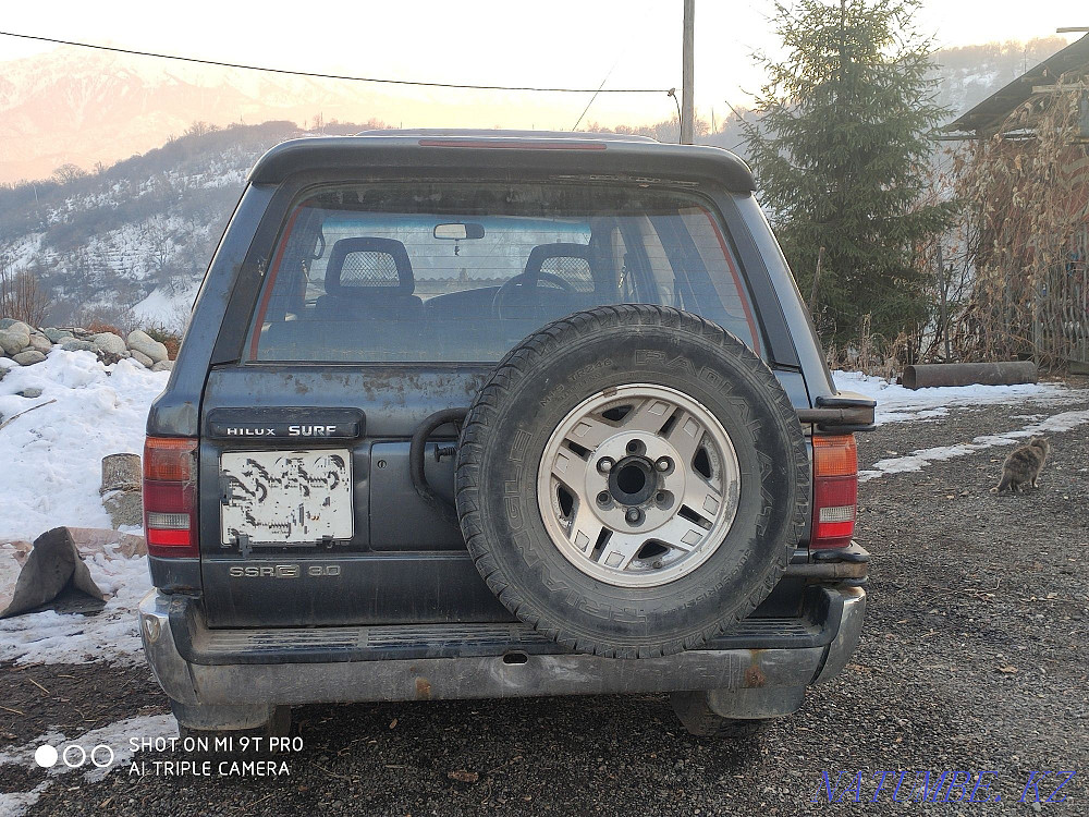    year Almaty - photo 5