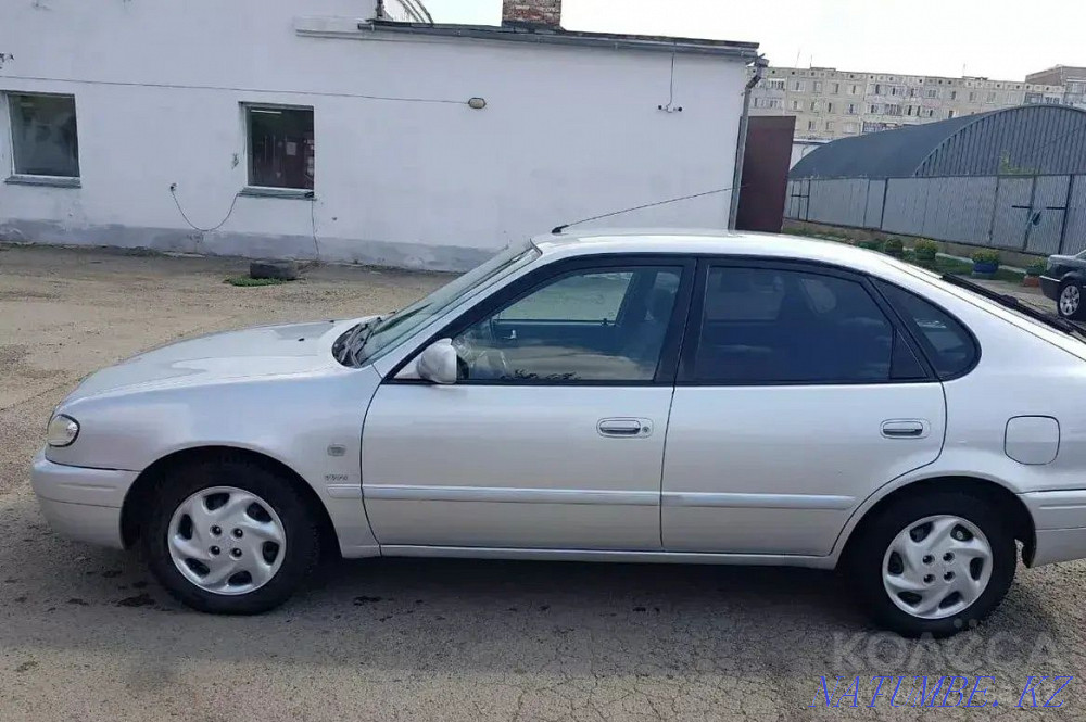    year Almaty - photo 9