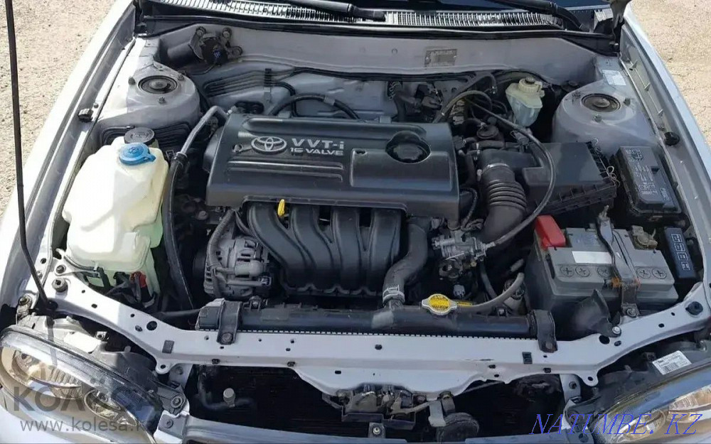    year Almaty - photo 8