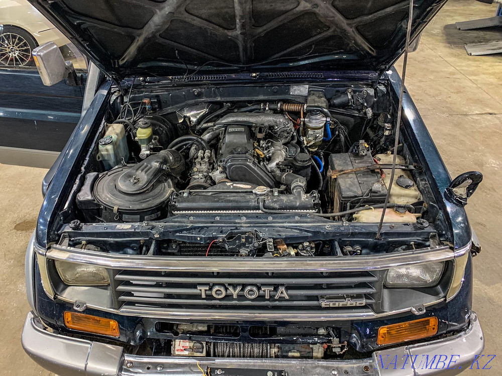    year Almaty - photo 2