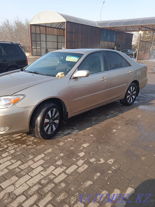    year Almaty - photo 5