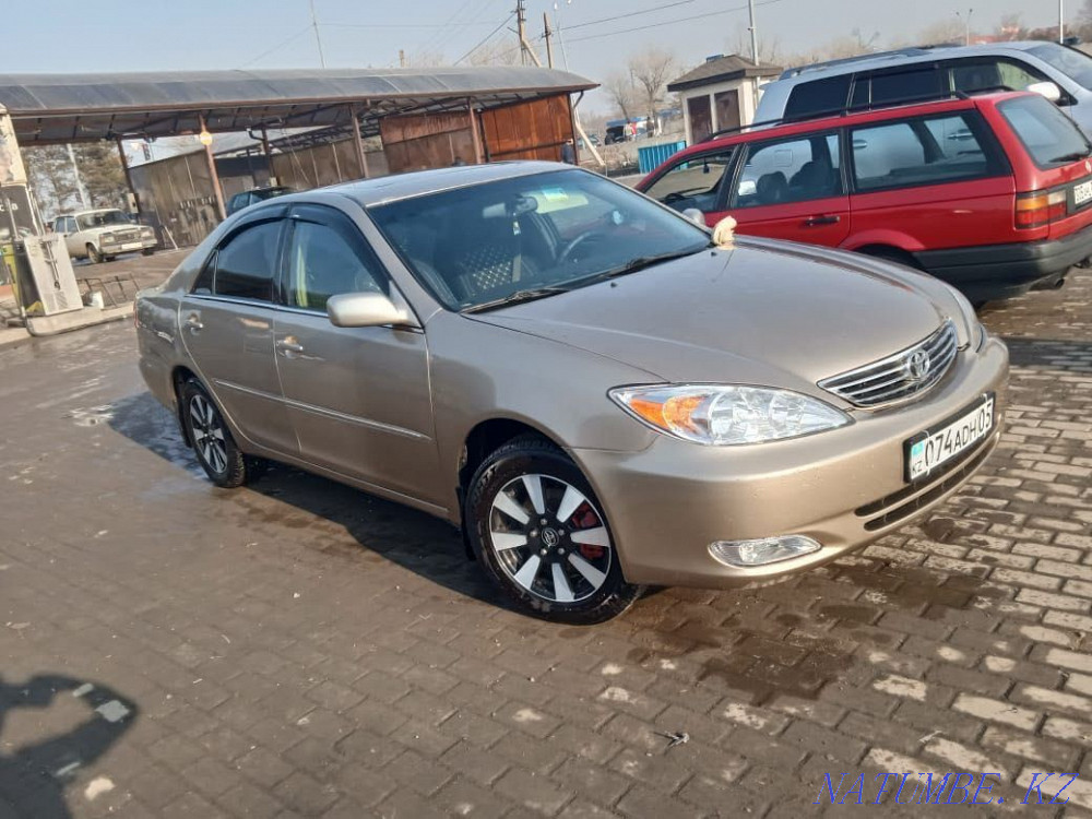    year Almaty - photo 6