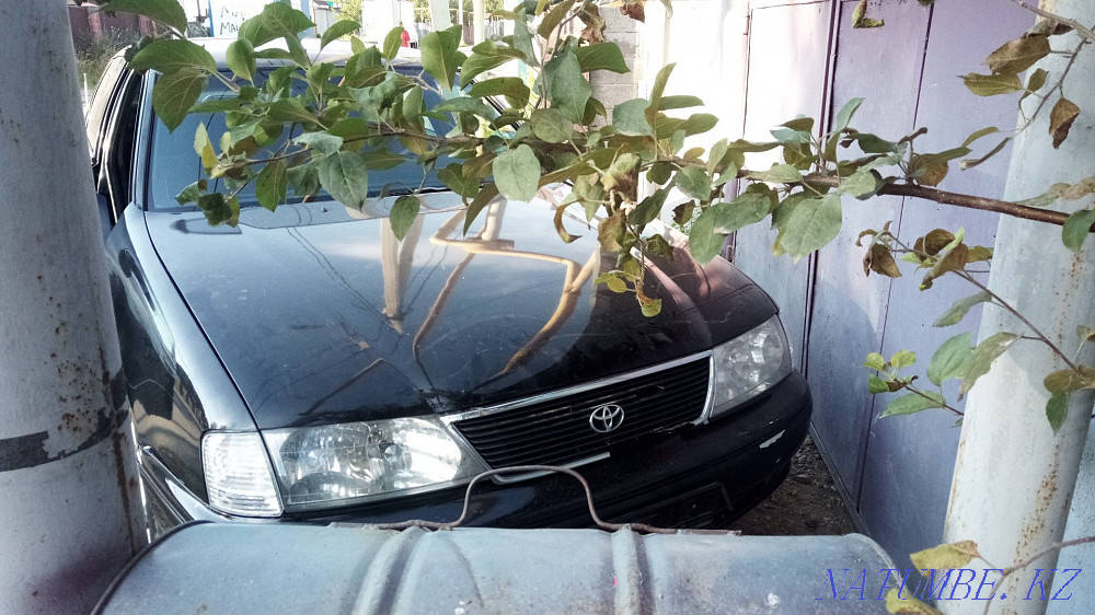    year Almaty - photo 7