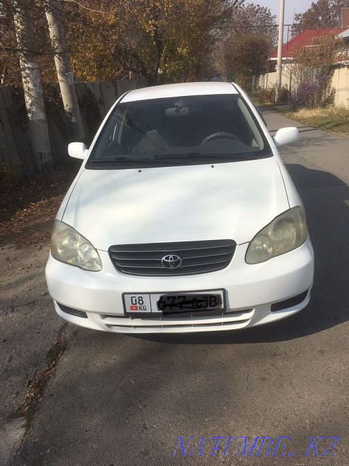    year Almaty - photo 1