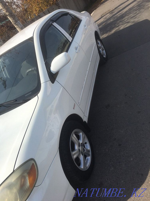    year Almaty - photo 3