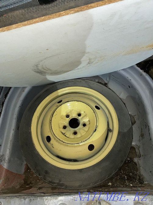    year Almaty - photo 6