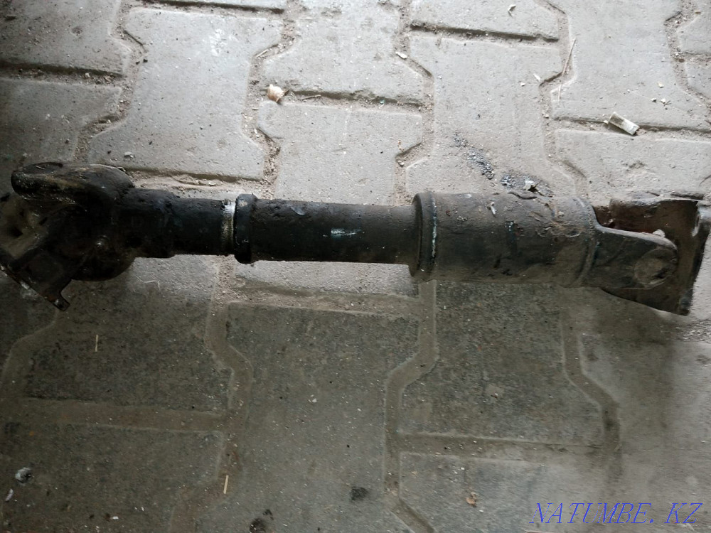    year Almaty - photo 3