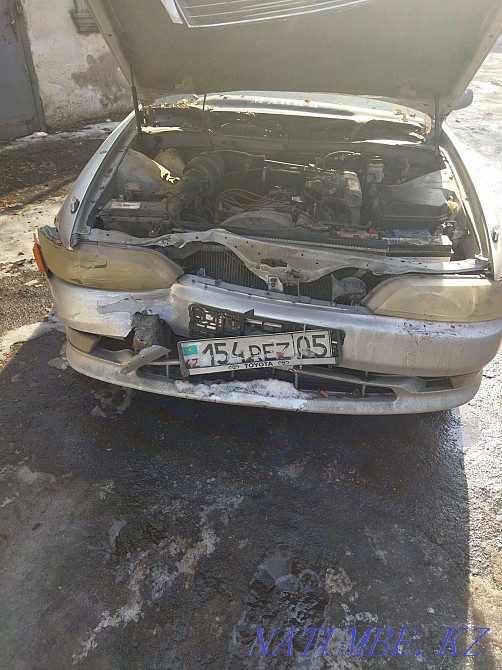    year Almaty - photo 10