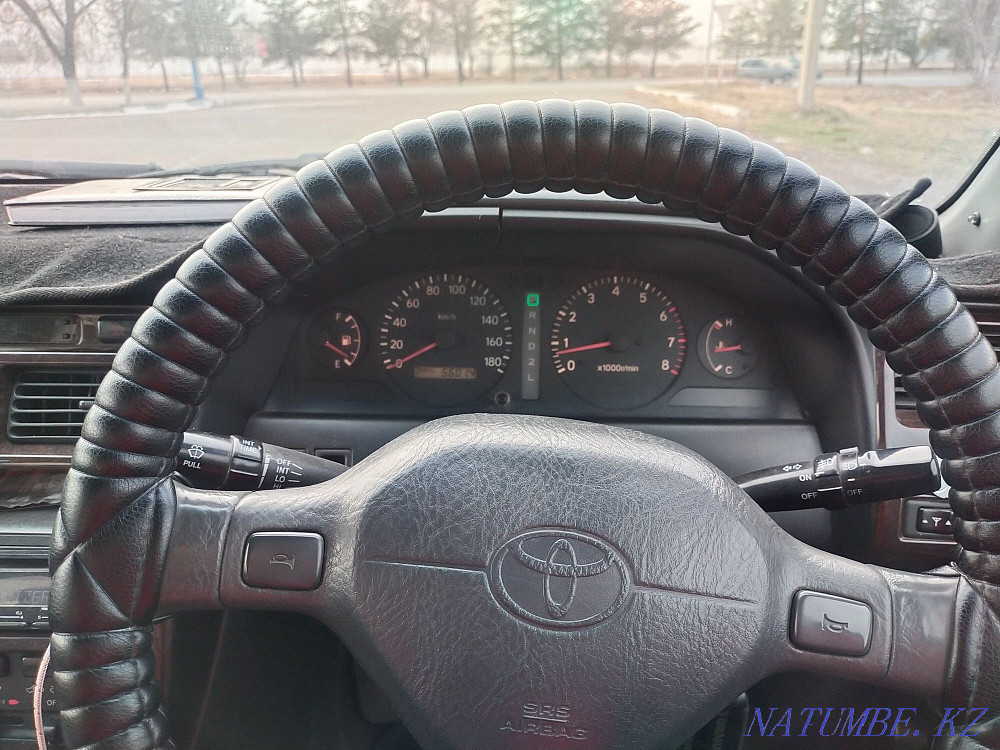    year Almaty - photo 5