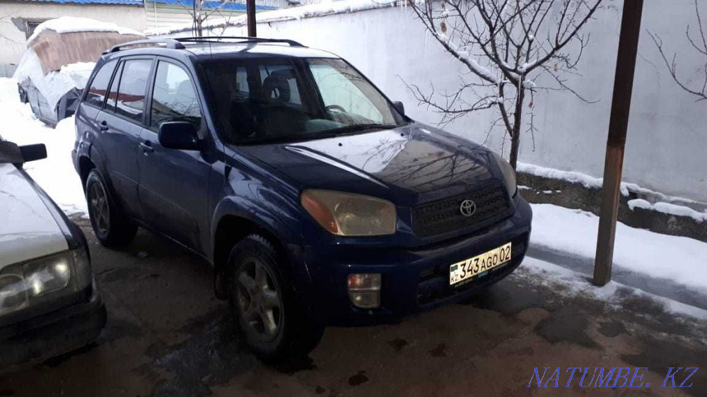    year Almaty - photo 1