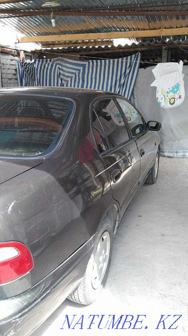    year Almaty - photo 3