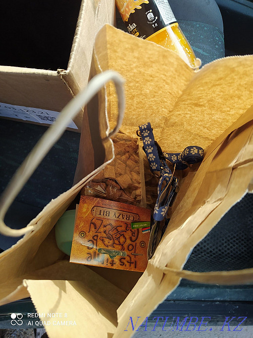 Щенки сибирский хаски щенок Алматы - изображение 6