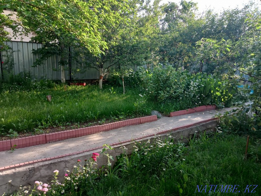 House Cottage with a pool, sauna in the mountains Almaty - photo 13
