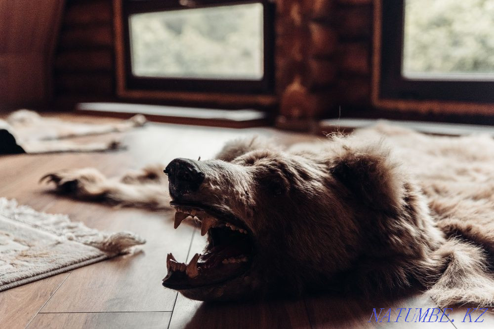 6-комнатный дом посуточно, 209 м?, 4500 сот. за 100 000 Алматы - изображение 4