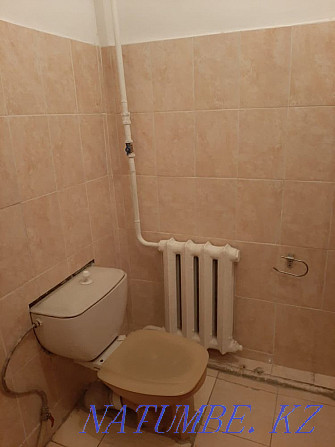 Rent a temporary house with all amenities Almaty - photo 6