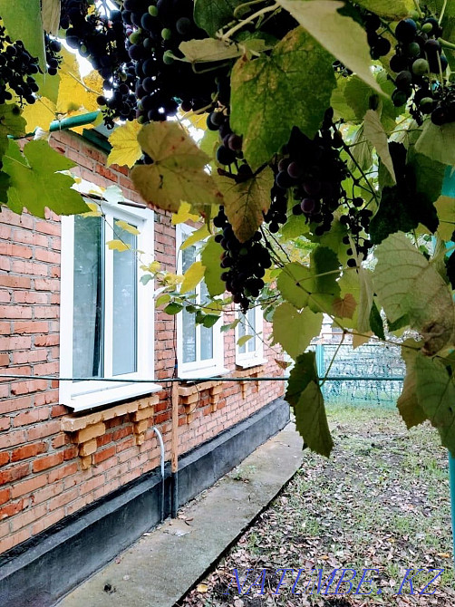 Жеке үй жалға беріледі  Алматы - изображение 1