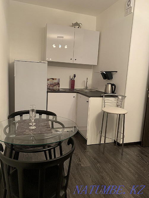 Rent a large house with a good repair Almaty - photo 4