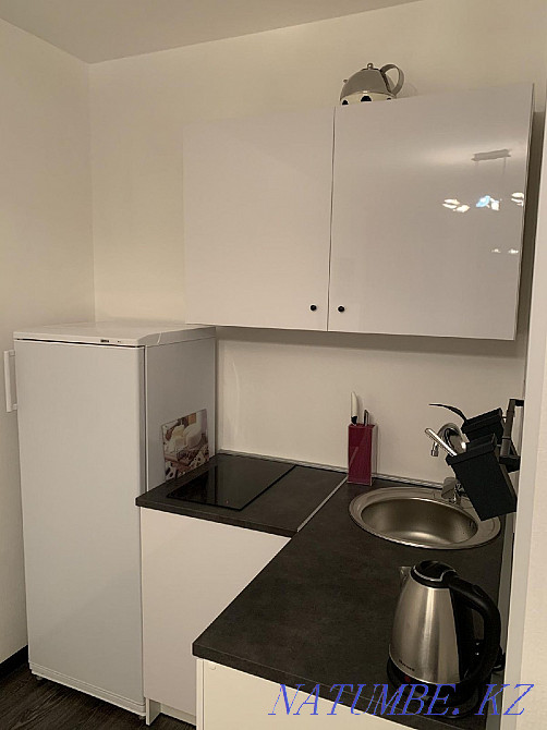 Rent a large house with a good repair Almaty - photo 3